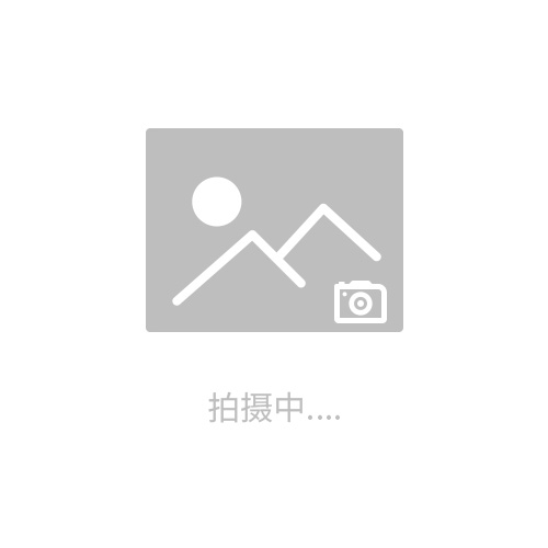 高頻雷達(dá)物位計(jì)廠家 遼寧水泥罐料位計(jì)價(jià)格 北特儀表廠